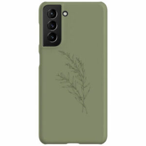 Khaki Wattle